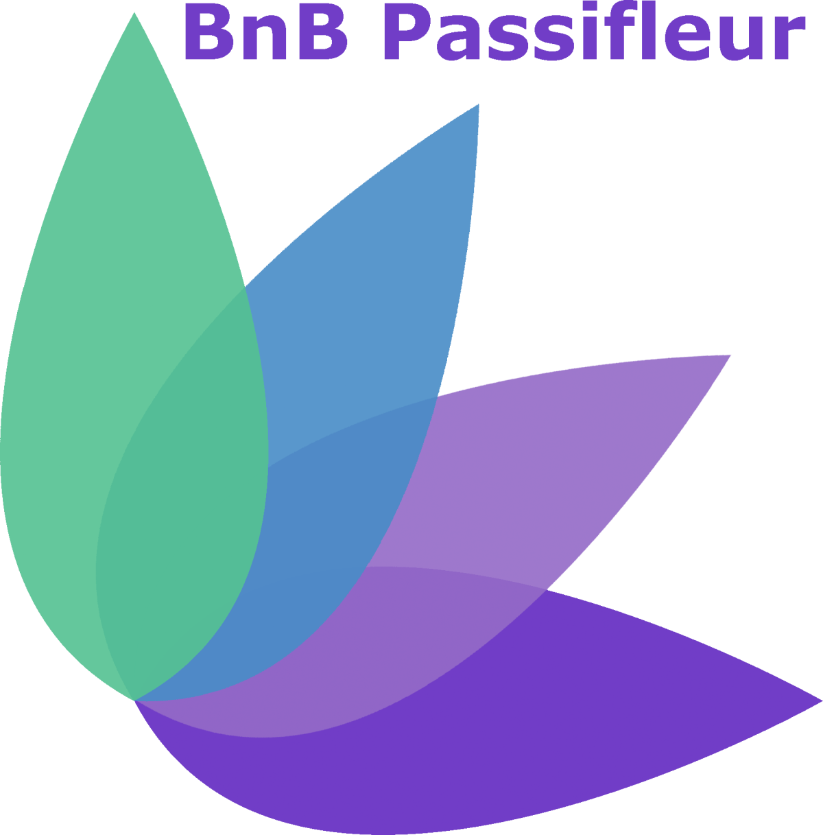 BnB Passifleur